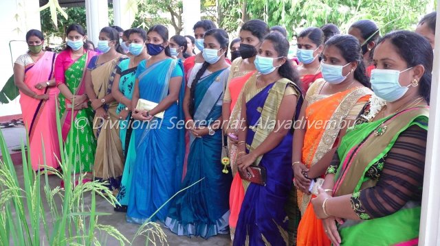 Pongal festival of Alayadivembu Divisional Secretariat-2021